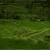 bali-indonesia