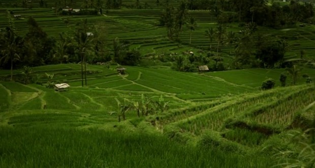 bali-indonesia bali-indonesia