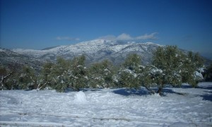 Snow in the Sierras Snow in the Sierras