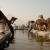Pushkar Camel Festival