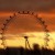 London Eye Waterloo