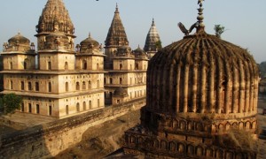 Birds of Prey in Orchha India