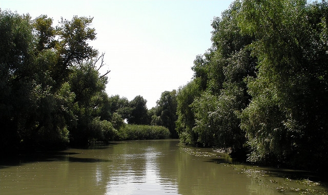 The Danube Delta The Danube Delta