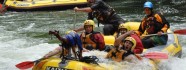 White Water Rafting On The Kaituna