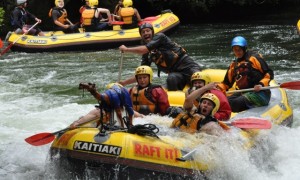 White Water Rafting On The Kaituna