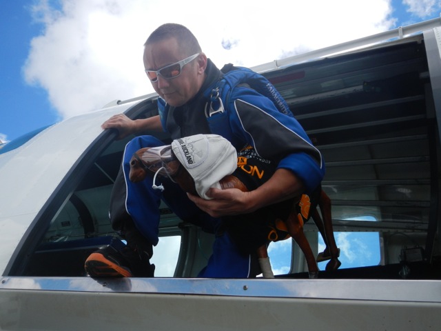 Clarence At Skydive Auckland Clarence At Skydive Auckland