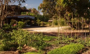 Our Small Thai Village