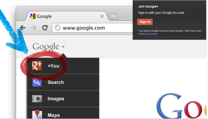 Google + login screen