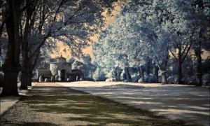infrared-passing filter infrared-passing filter
