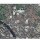 foursquare-check-large