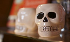 Shakespeare Skulls Shakespeare Skulls