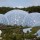 The Eden Project
