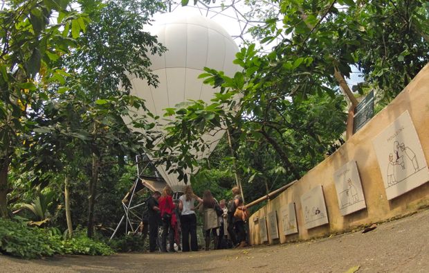 Balloon inside the tropical biome Balloon inside the tropical biome