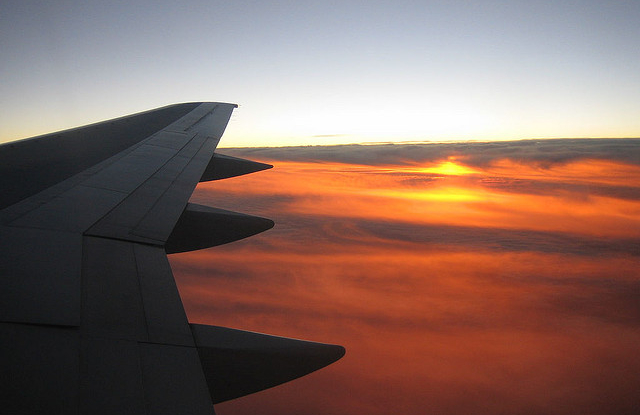 Flight at sunset Flight at sunset
