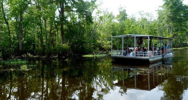 swamptour swamptour