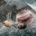 Great White Shark