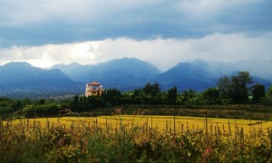 Pai Fields and Mountains Pai Fields and Mountains
