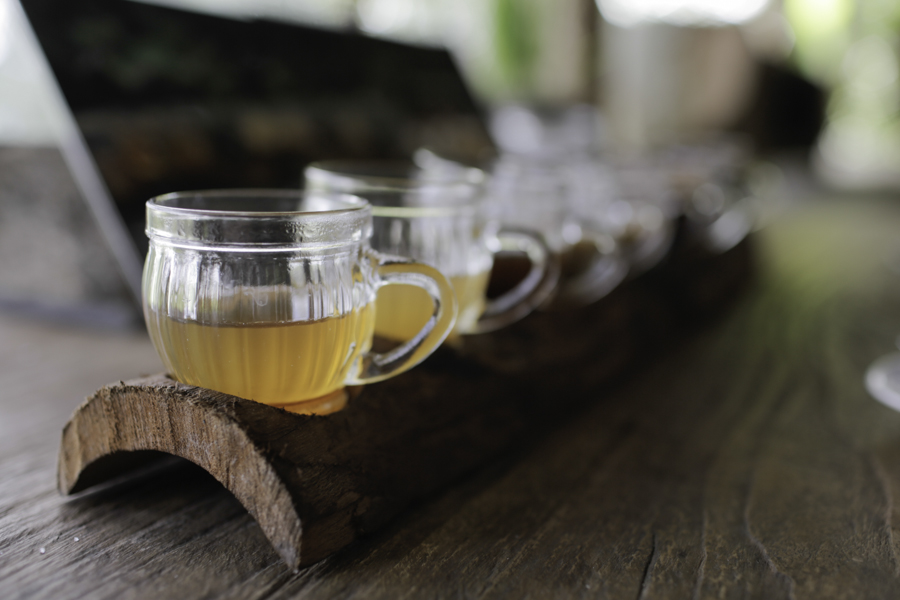 Coffee and tea tasting