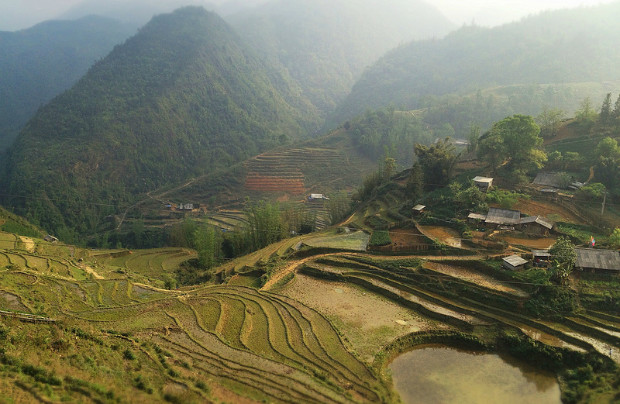 sapa-landscape-620w1